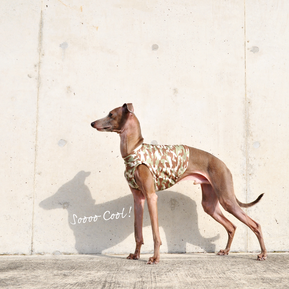 犬服|SOOOO COOL! 水に濡らしてひんやり!UVカット90%|ウォータークールクロス特殊冷感ニット|選べる3タイプ×2カラー(カモフラグリーン/カモフラブルー)