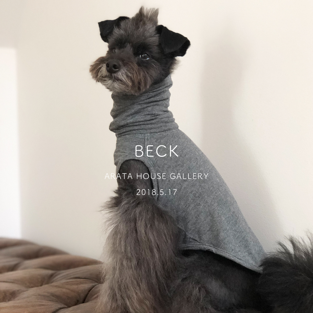 年相応のお洒落は、大人の色気。「ベック☆」