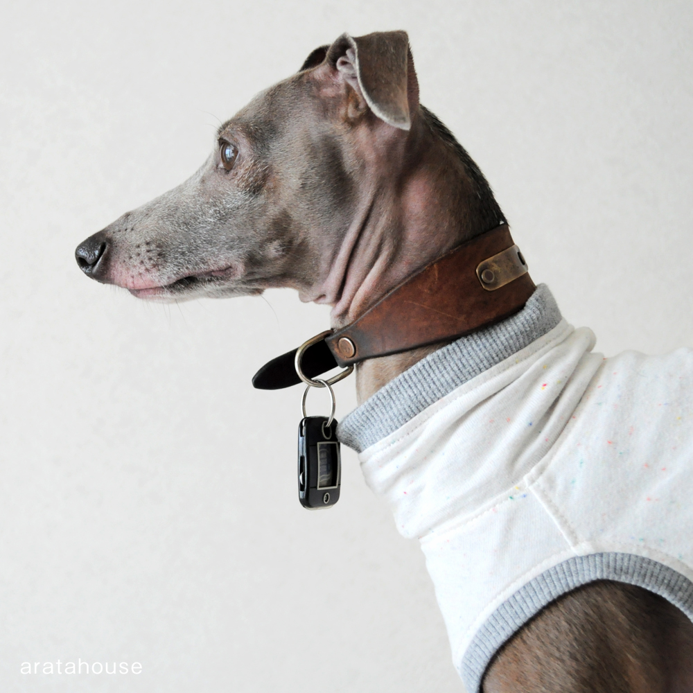 地震発生!!愛犬Buono!にしたこと。「ペットの災害対策」「災害時におけるペットの救護対策ガイドライン」