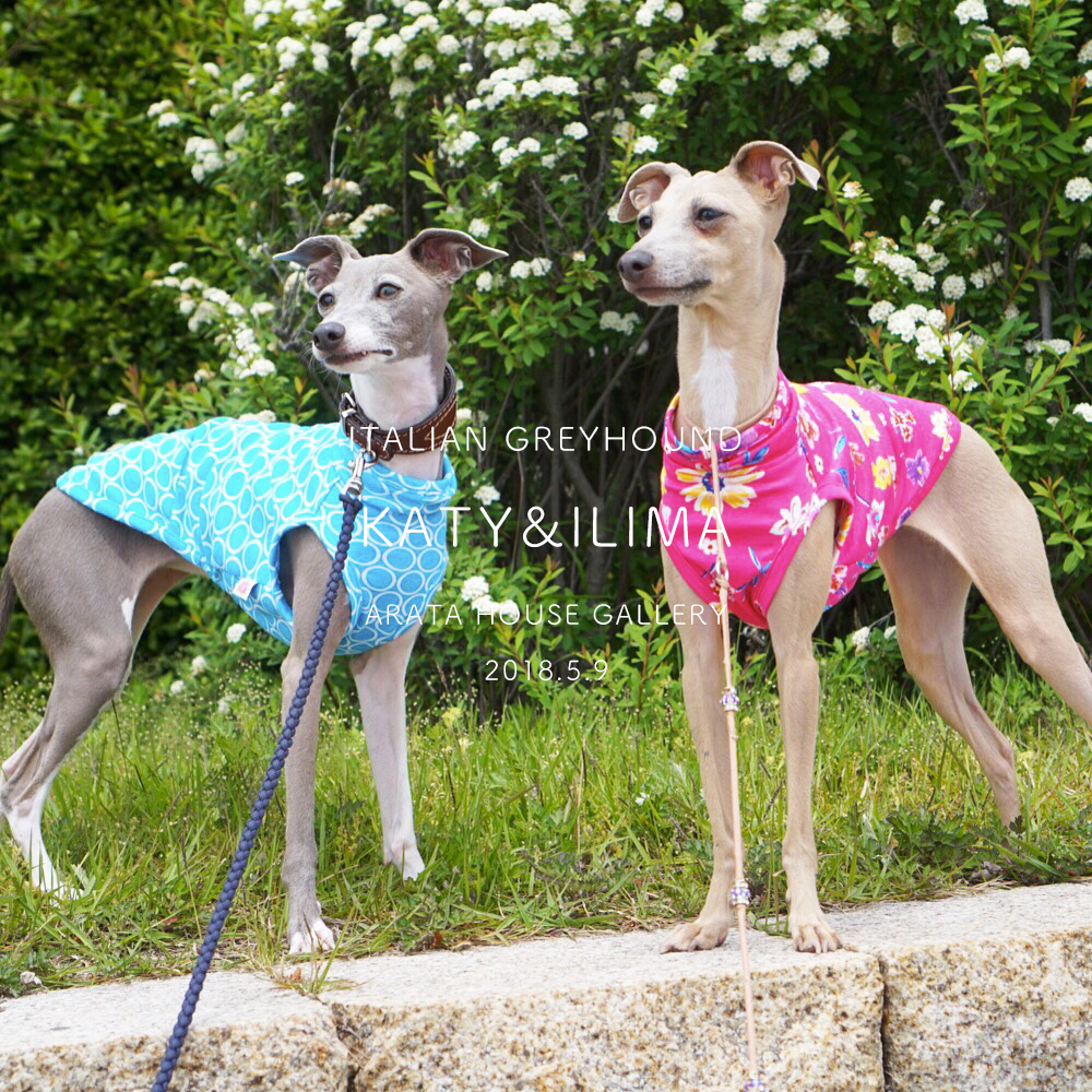 「イタグレ/ケイティー&イリマ」きゃっきゃっきゃぁ~楽しい♪ねぇ~♪♪