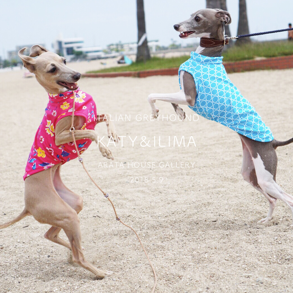 「イタグレ/ケイティー&イリマ」きゃっきゃっきゃぁ~楽しい♪ねぇ~♪♪