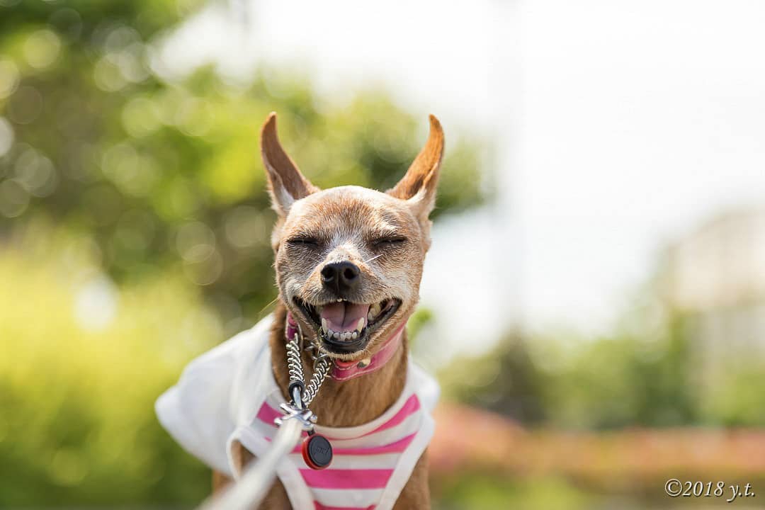 愛することは、涙を流す勇気を持つこと。