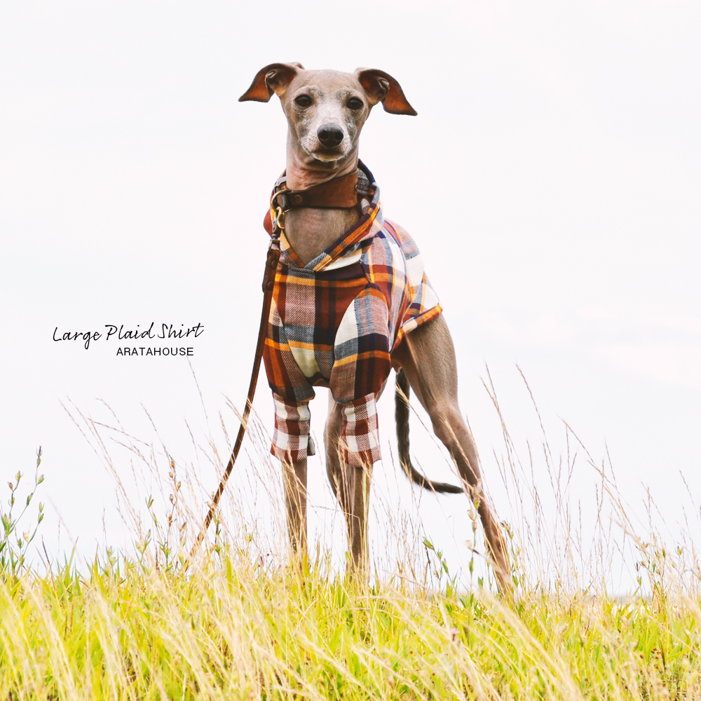 犬服|ラージチェックシャツ|日本製コットンダブルガーゼ|選べる3タイプ×2カラー(ブラウン×オレンジ/ブラック×レッド)
