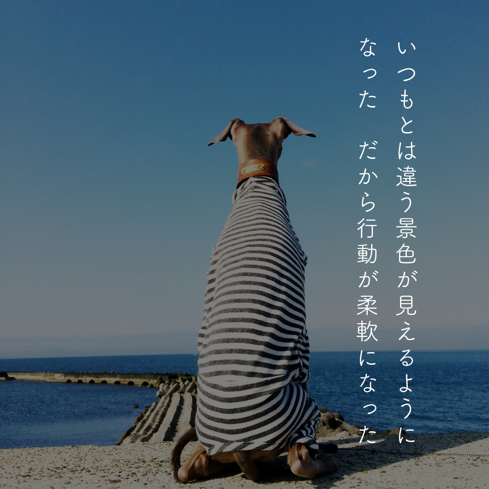 #聞きたその想い