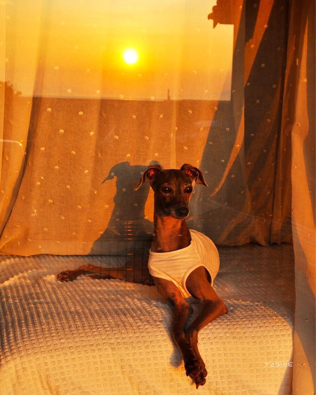 「Aくらぶ」ゴールド会員残り6名で募集終了です!