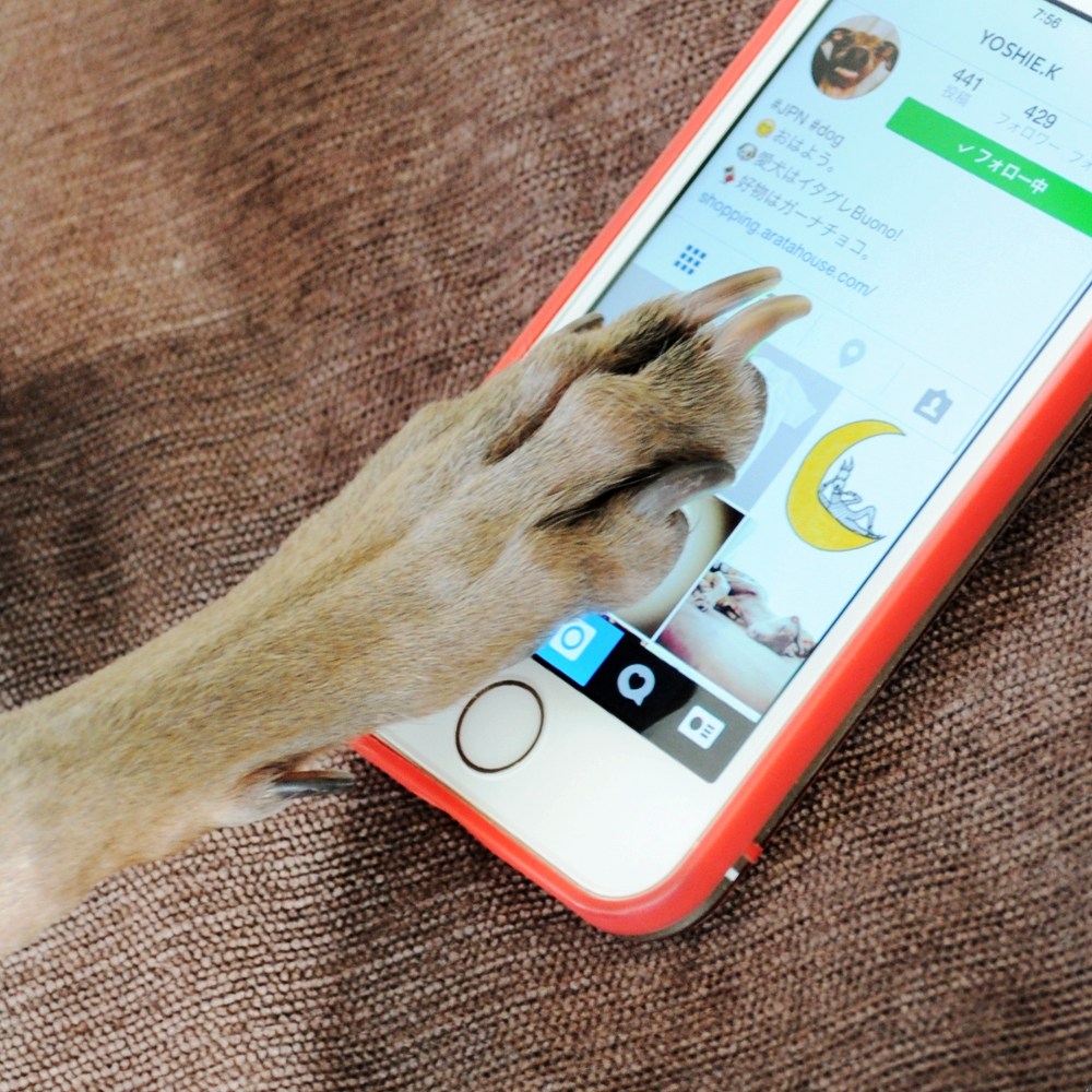 【質問です！Aくらぶゴールド会員の皆さんへ】