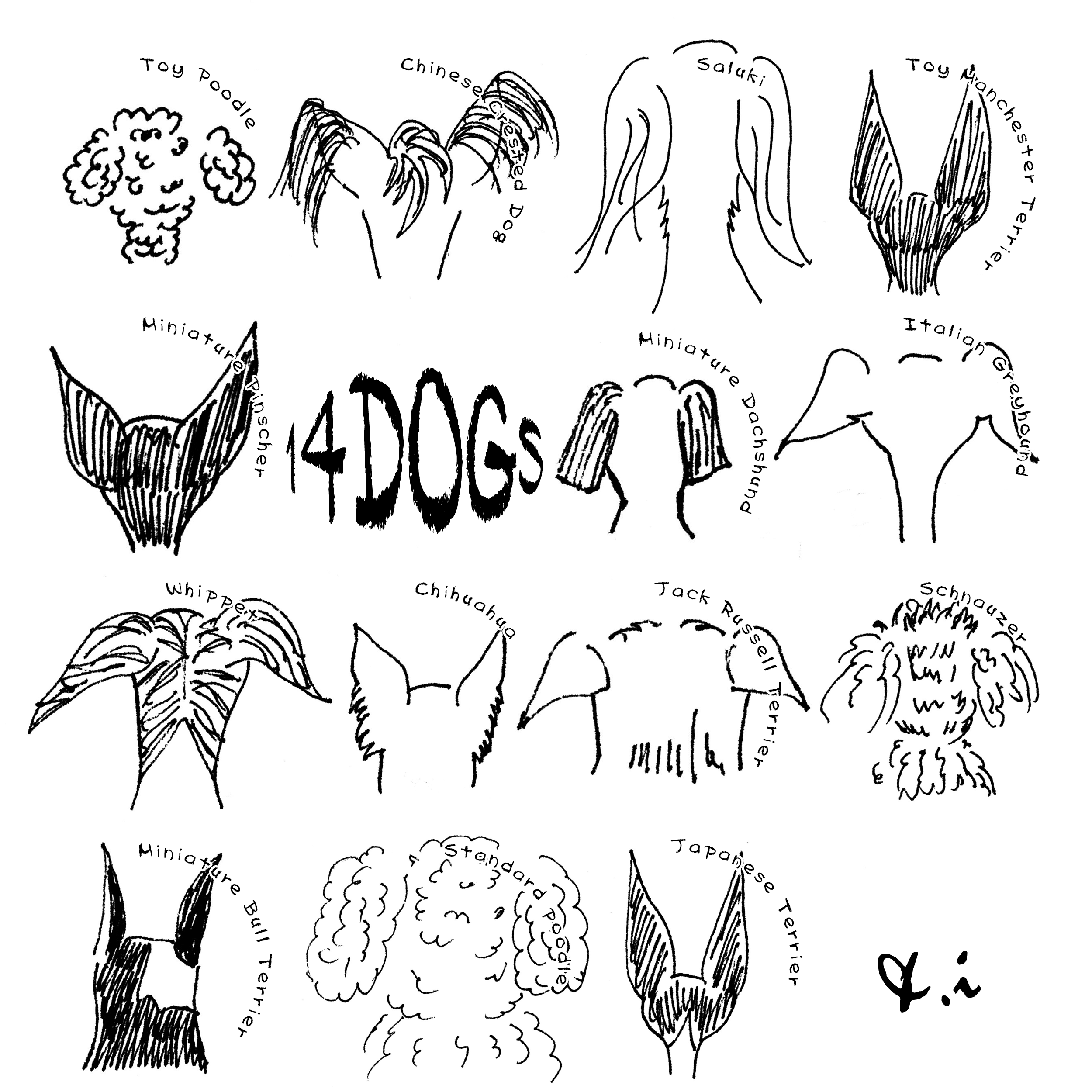 14dogs&I「YOSHIE.KUROIWA」