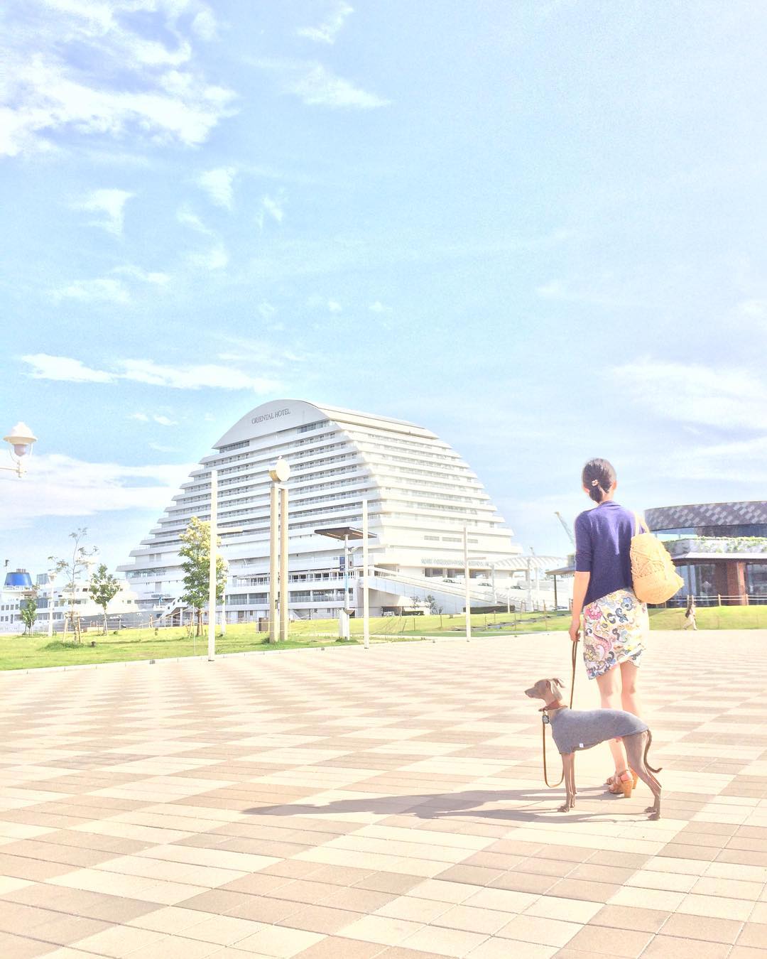 「36才の妻が60日間で体重-5kg体脂肪-8%なった方法」確実に綺麗になるには食べること、確実に筋肉を増やすには食べること。