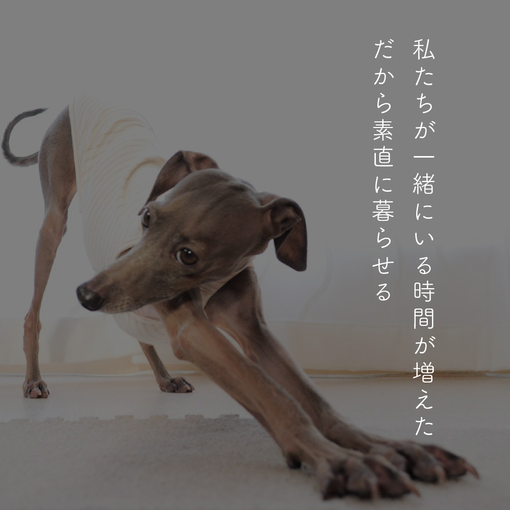 #聞きたその想い