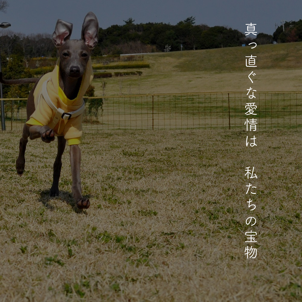 #聞きたその想い