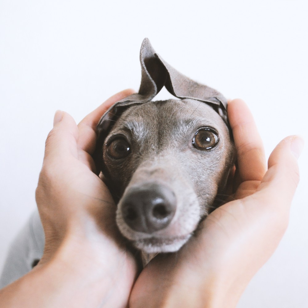 災害時に「実名非公開コミュニティ Aくらぶ」が役立つ可能性