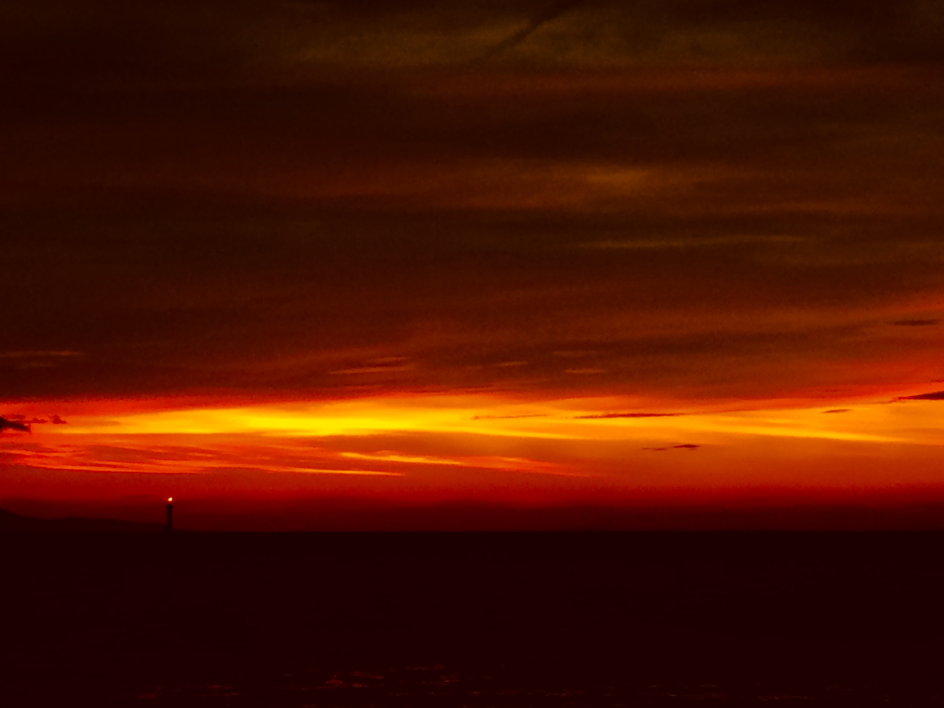 アナタの好きなこと、得意なこと、疑問さえも私の役に立つ