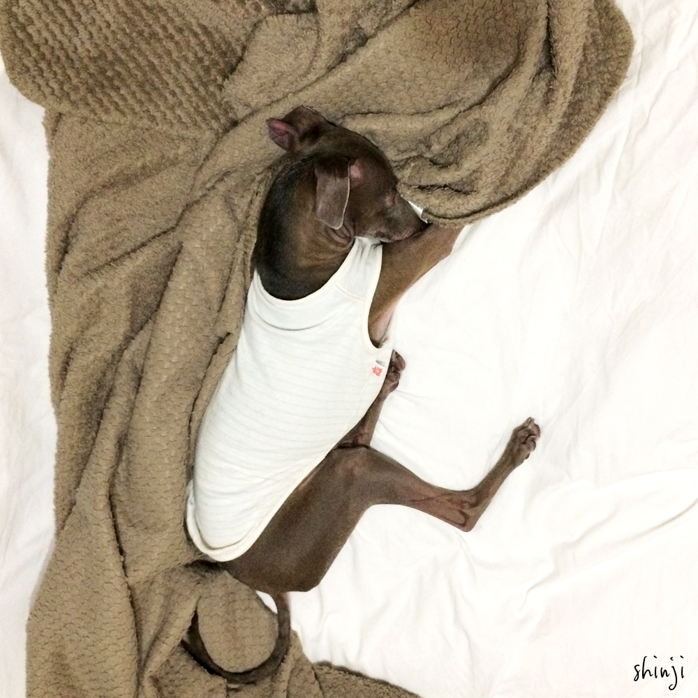 やっぱり面白い実名の非公開コミュニティ「Aくらぶ」