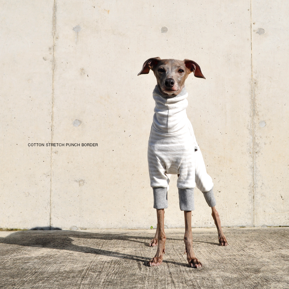 犬服|コットンストレッチポンチボーダー|選べる4タイプ(グレー)