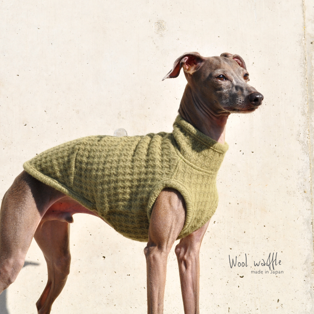 犬服｜日本製ウールワッフル｜選べる３タイプ（Leaf Green）