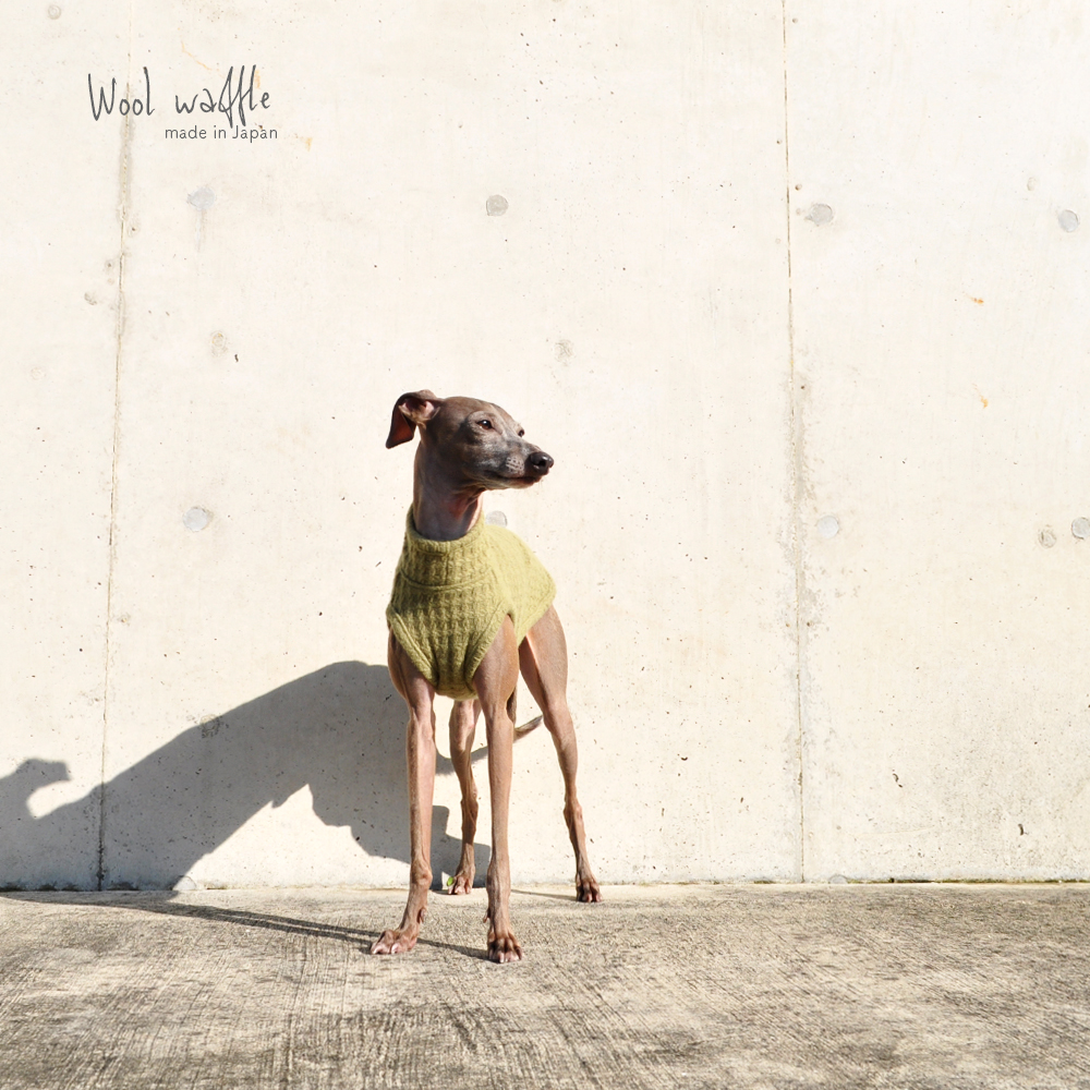 犬服｜日本製ウールワッフル｜選べる３タイプ（Leaf Green）