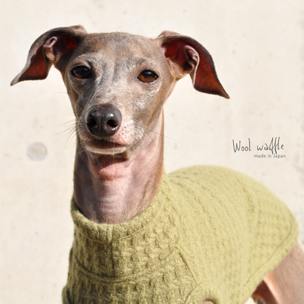 犬服｜日本製ウールワッフル｜選べる３タイプ（Leaf Green）
