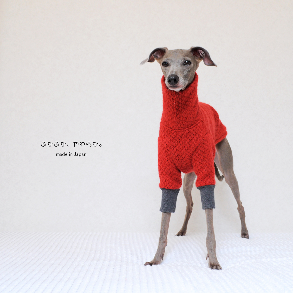 犬服｜ふかふか、やわらか。｜ウール混ニット｜選べる４タイプ×２カラー（赤/青）