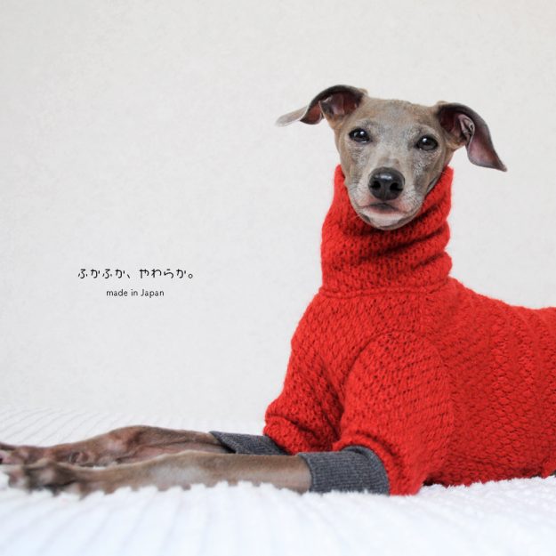 犬服｜ふかふか、やわらか。｜ウール混ニット｜選べる４タイプ×２カラー（赤/青）