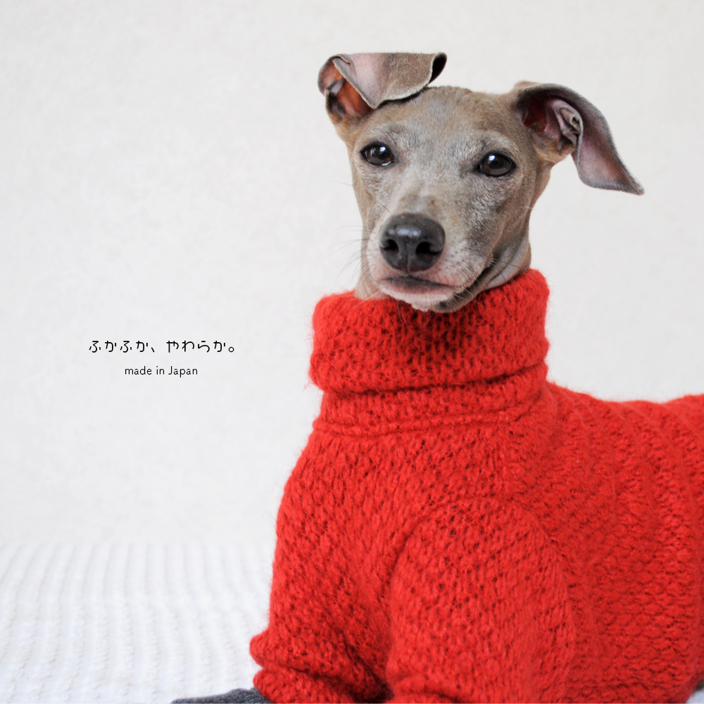 犬服｜ふかふか、やわらか。｜ウール混ニット｜選べる４タイプ×２カラー（赤/青）