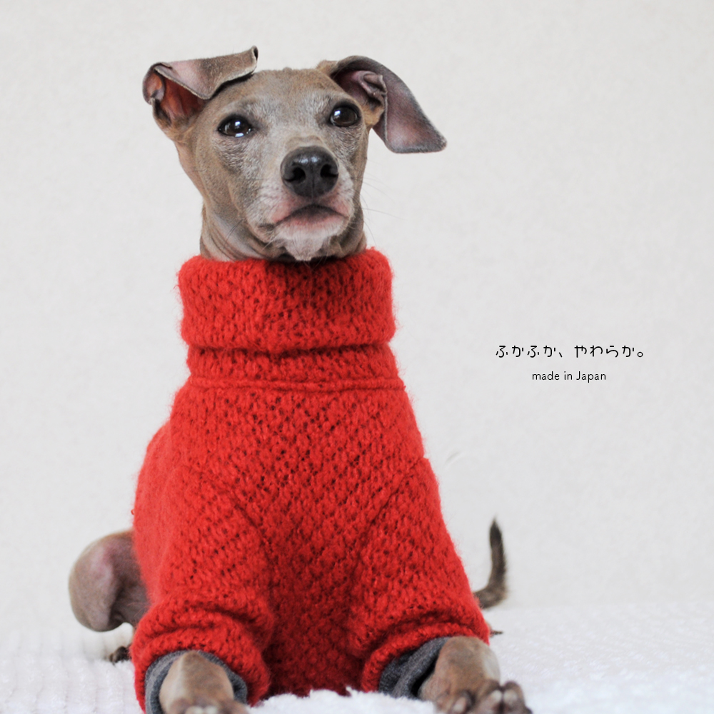 犬服｜ふかふか、やわらか。｜ウール混ニット｜選べる４タイプ×２カラー（赤/青）