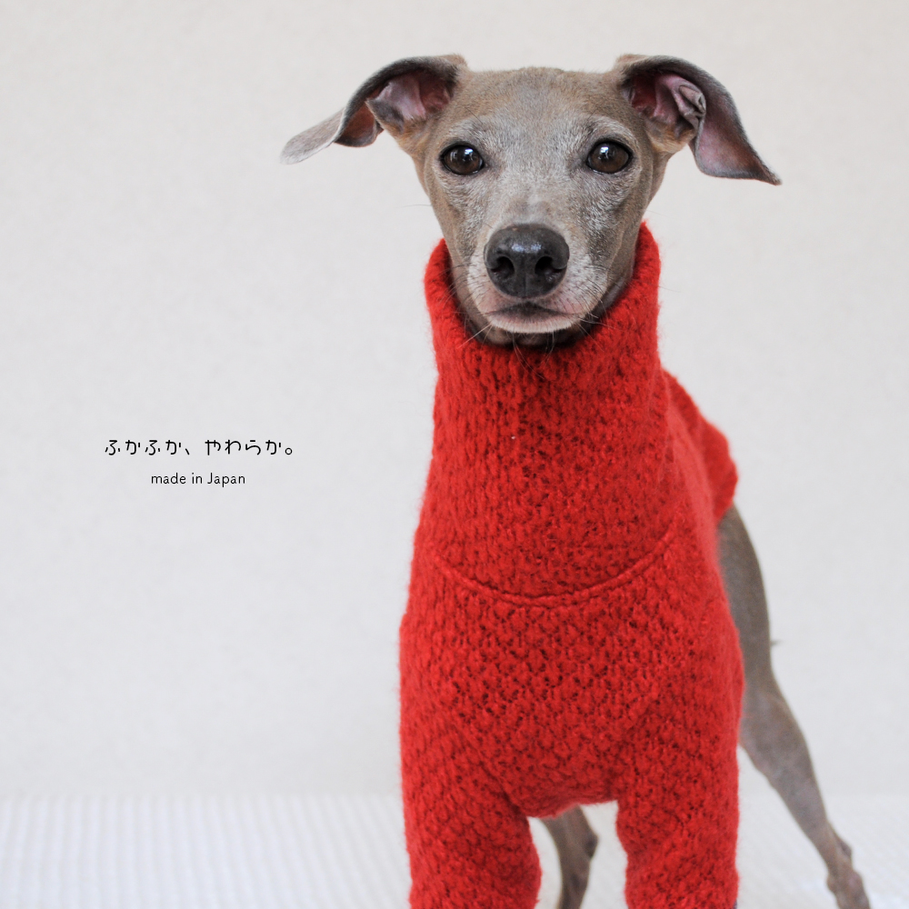 犬服｜ふかふか、やわらか。｜ウール混ニット｜選べる４タイプ×２カラー（赤/青）