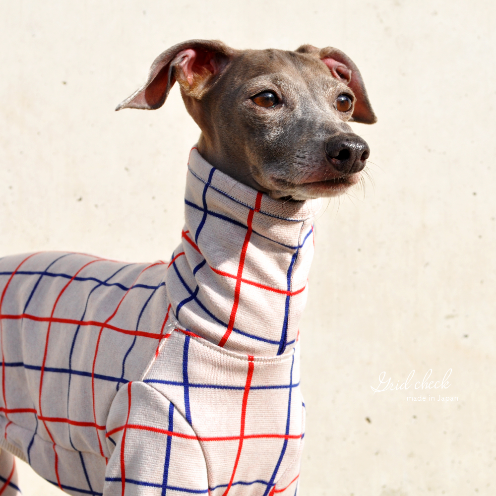 犬服｜3cm×3cmグリッドチェック｜日本製ジャガードニット｜選べる４タイプ×２カラー（アイボリー/レッド）