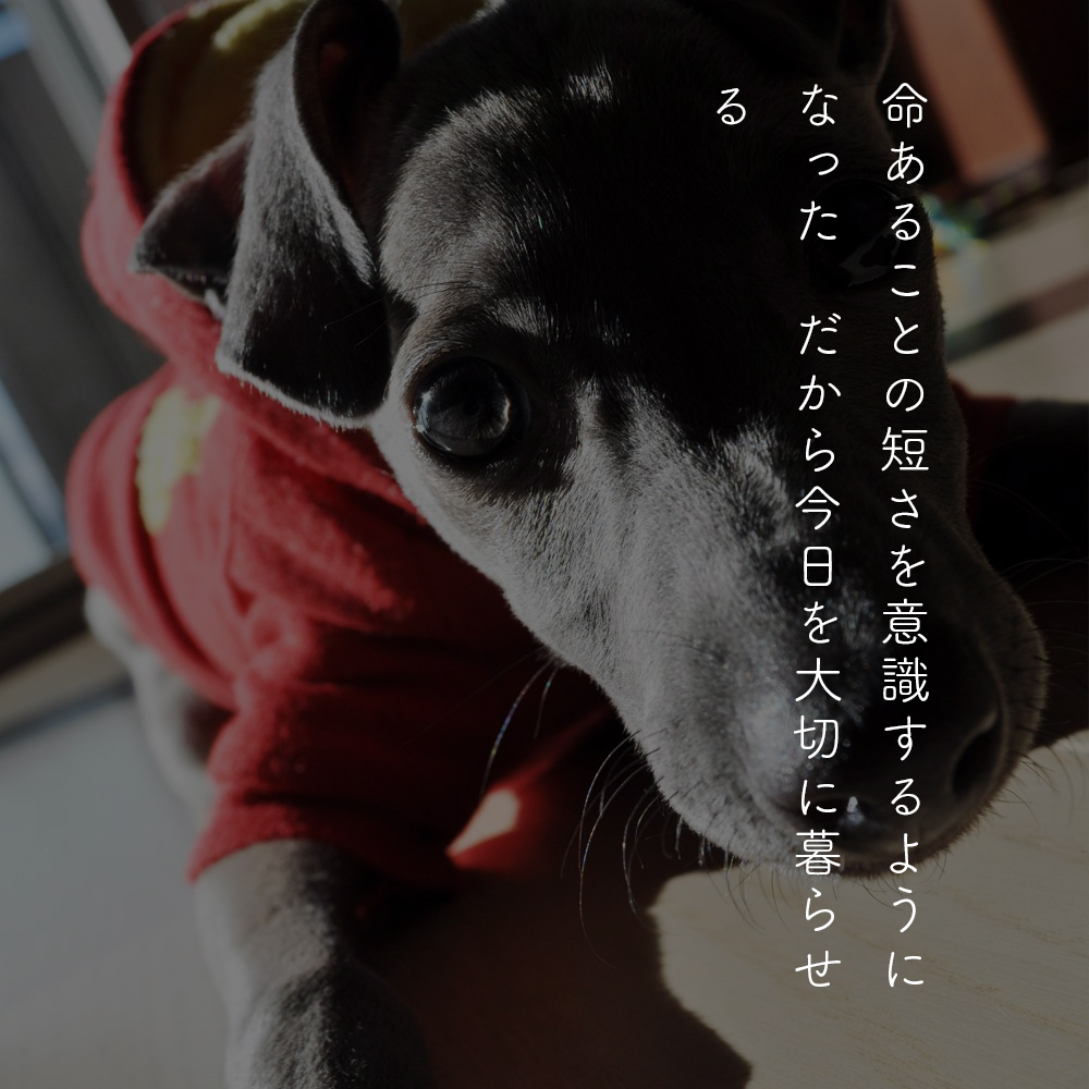 #聞きたその想い