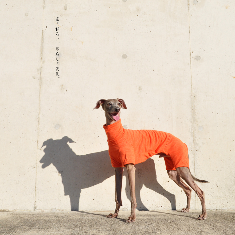 犬服｜空の移ろい｜日本製スペック天竺ニット｜選べる４タイプ×３カラー（蒲公英色/橙色/茜色）+Aくらぶメンバー限定6カラーあり