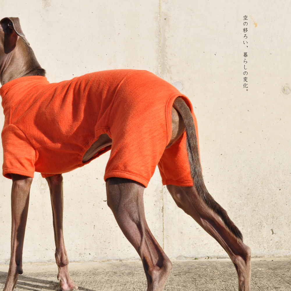 犬服｜空の移ろい｜日本製スペック天竺ニット｜選べる４タイプ×３カラー（蒲公英色/橙色/茜色）+Aくらぶメンバー限定6カラーあり