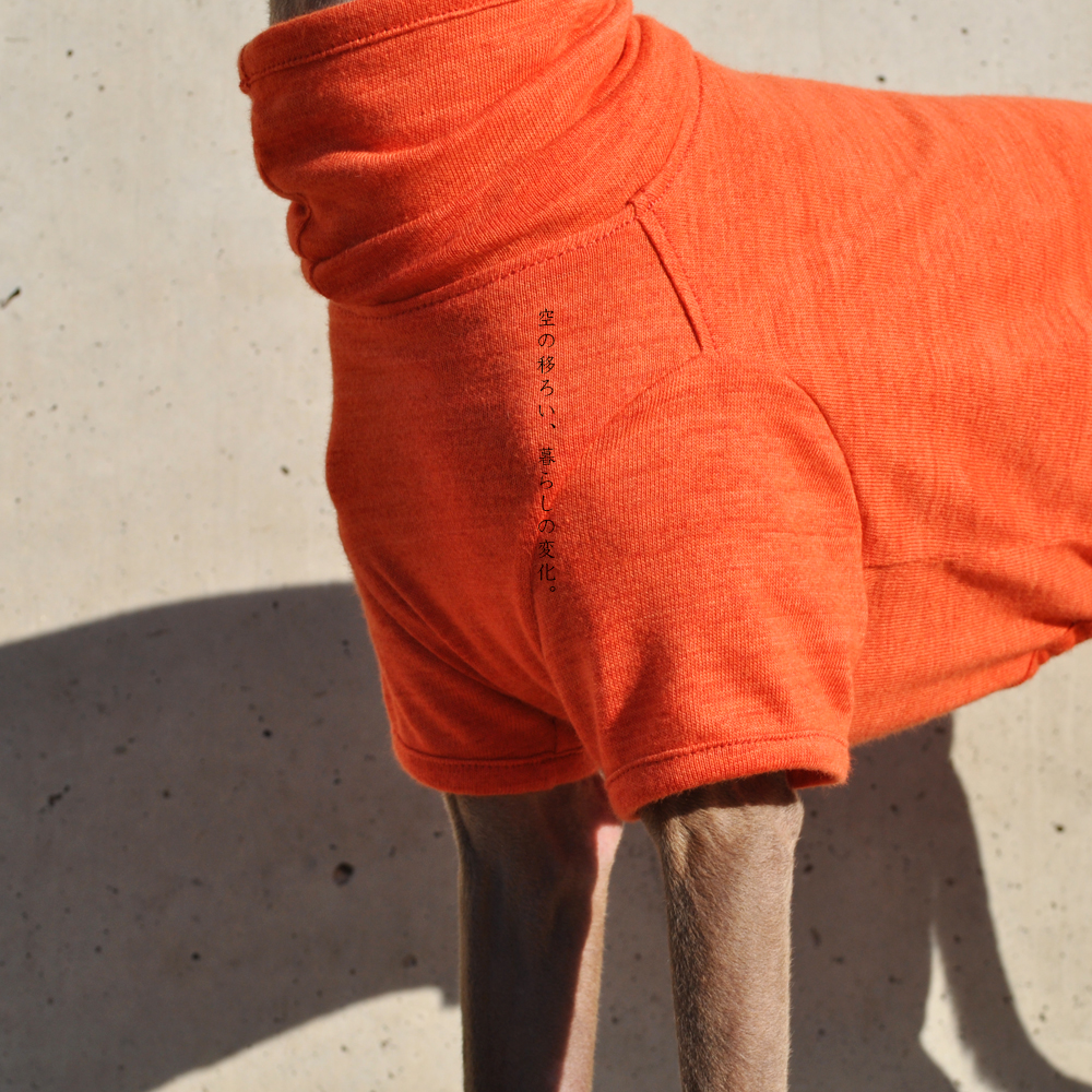 犬服｜空の移ろい｜日本製スペック天竺ニット｜選べる４タイプ×３カラー（蒲公英色/橙色/茜色）+Aくらぶメンバー限定6カラーあり