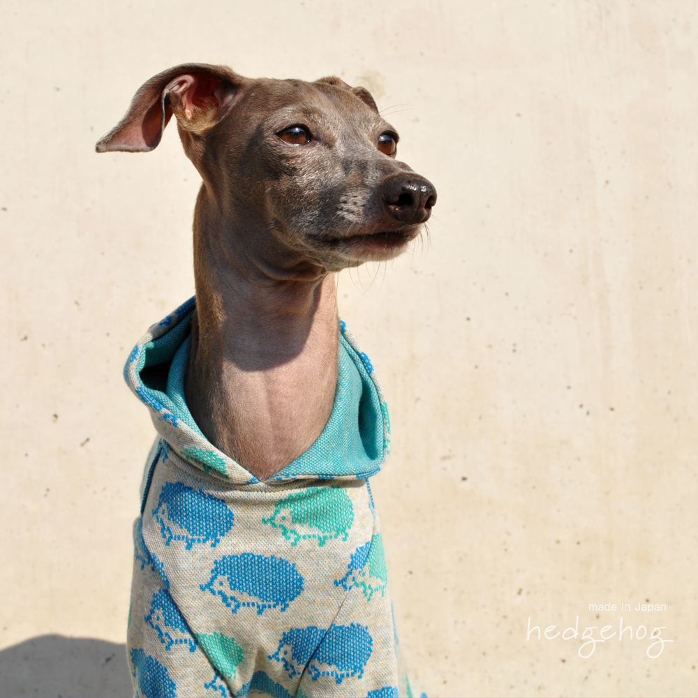 犬服|ハリネズミ|日本製ジャガードニット|選べる4タイプ