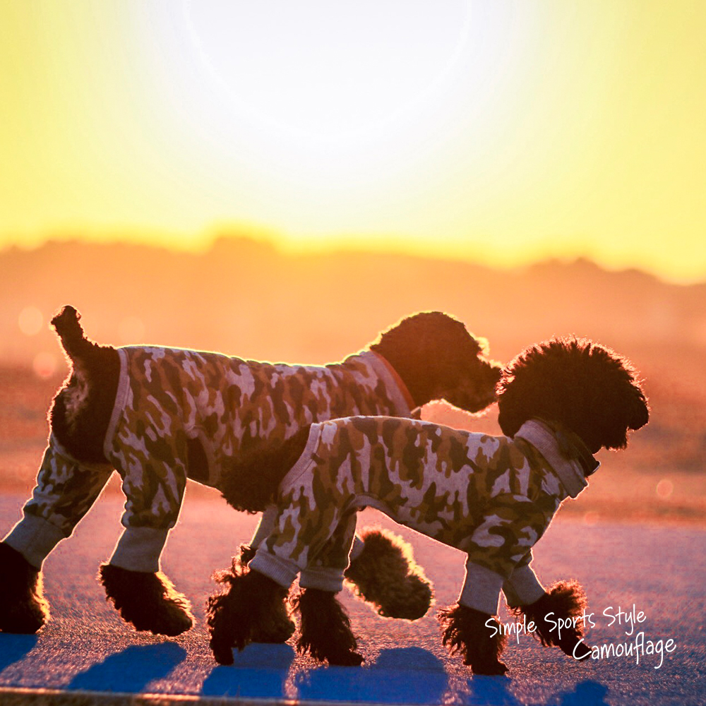 モデルコーデ｜ミニチュアプードル ウーゴ/トイプードル メルロ