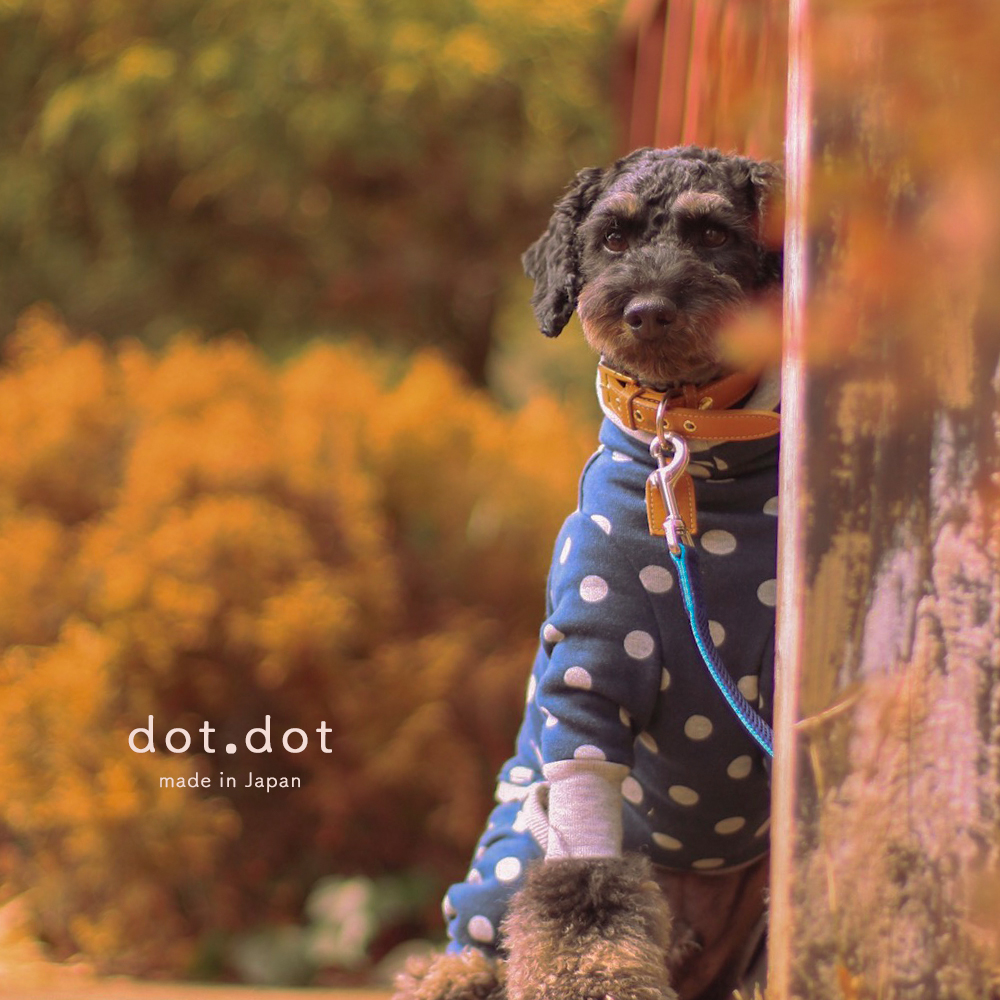 モデルコーデ｜ミニチュアプードル ウーゴ/トイプードル メルロ