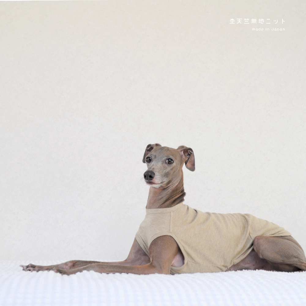 犬服｜杢天竺無地ニット｜選べる４タイプ×３カラー（ベージュ/グレイ/ネイビー）