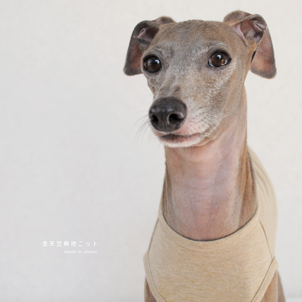 犬服｜杢天竺無地ニット｜選べる４タイプ×３カラー（ベージュ/グレイ/ネイビー）