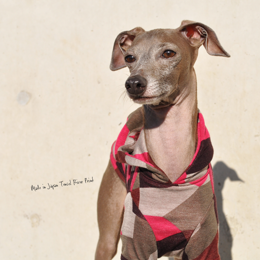 カラフルで滑らかな質感が気持ち良い犬服を作りました(日本製)