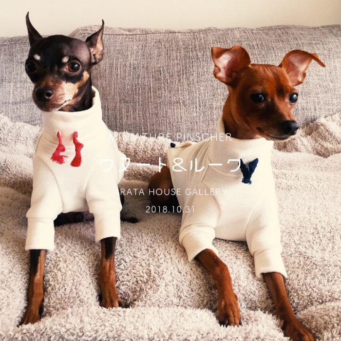 愛犬を想う気持ち「毎日着るものだからこそ肌触りの良いものを。」