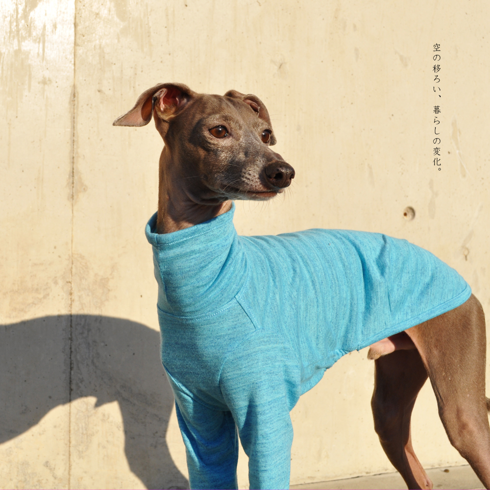 イタグレ服｜空の移ろい｜日本製スペック天竺ニット｜選べる４タイプ×９カラー