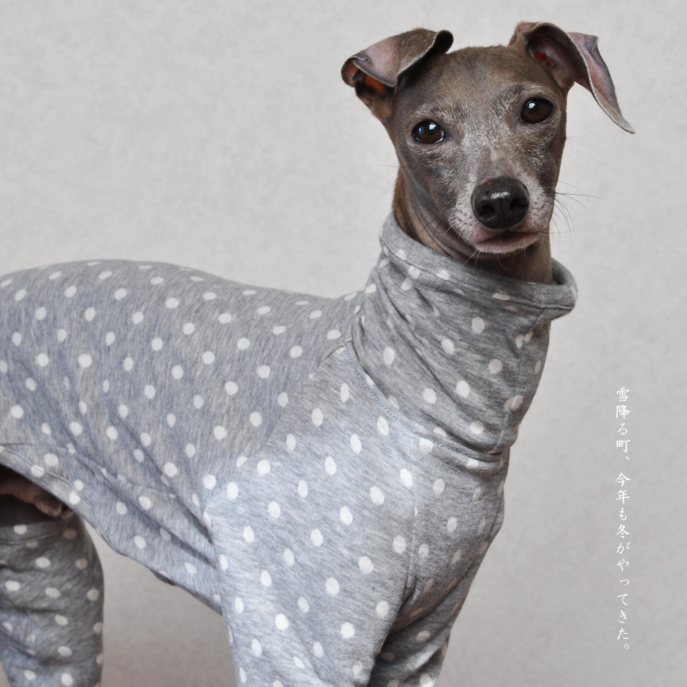 イタグレ服｜雪降る町、今年も冬がやってきた。｜接結ニット｜選べる４タイプ×３カラー（ベージュ/ピンク/グレイ）