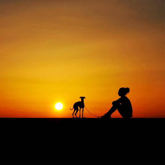 2018年もありがとうございます、2019年もよろしくお願いします。