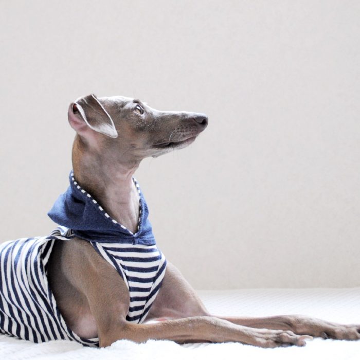 ARATA HOUSEコンサルタント料金表