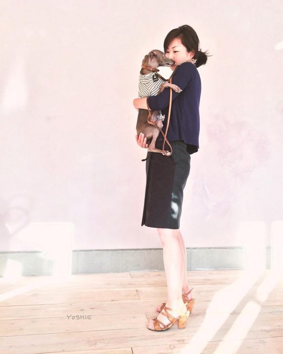 犬服屋の始め方:お店をしながら愛犬と一緒に暮らすお手伝いをします