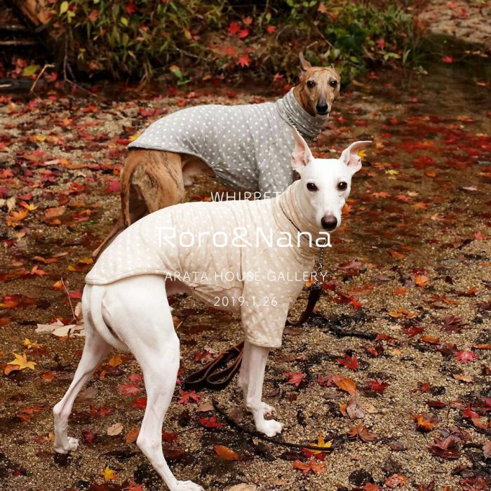 ウィペットのお洋服作りのお話：伸び伸び活き活きとした暮らしの中に