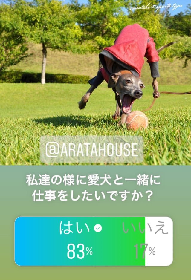 犬服屋の始め方:お店をしながら愛犬と一緒に暮らすお手伝いをします