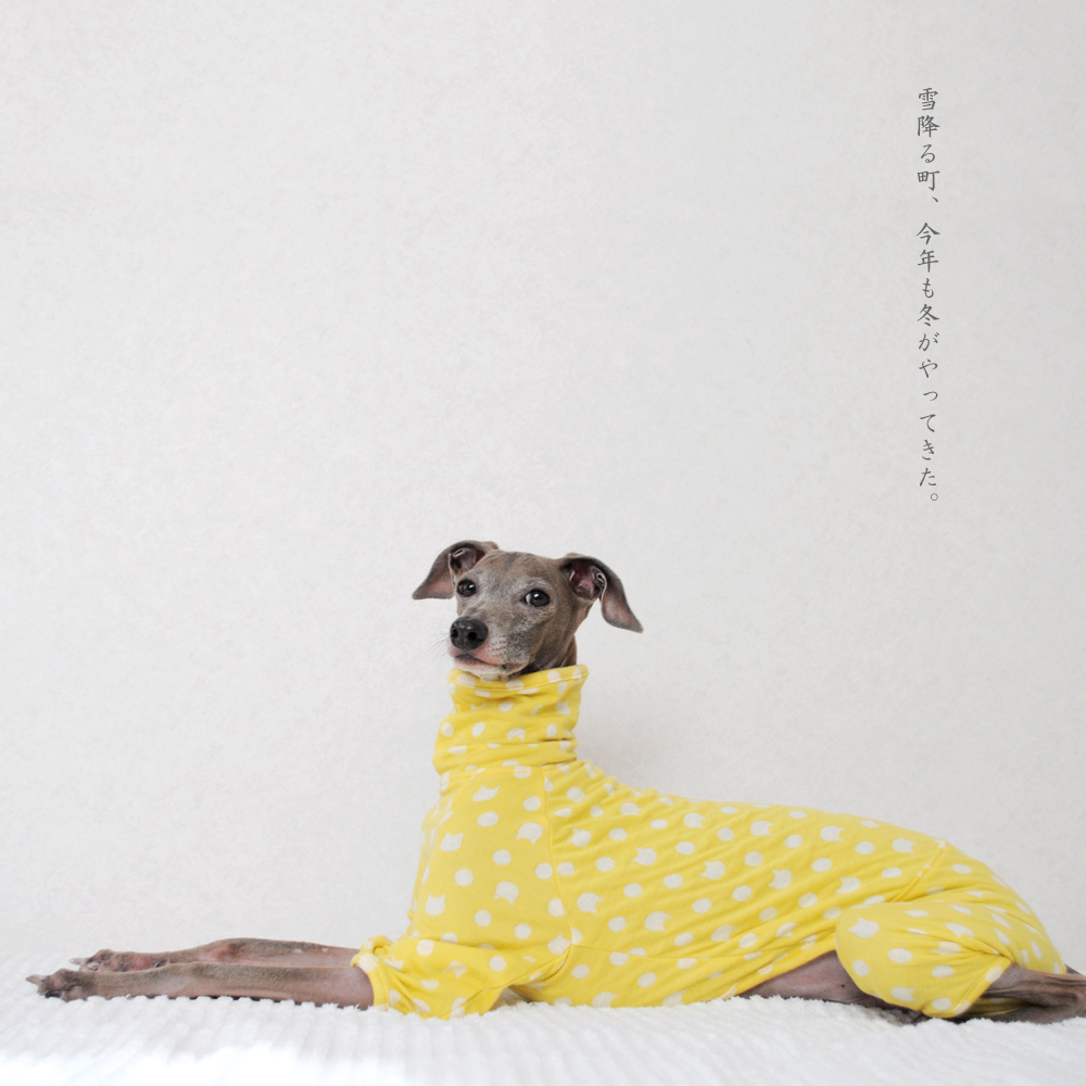 犬服|雪降る町、今年も冬がやってきた。|接結ニット|選べる4タイプ×6カラー