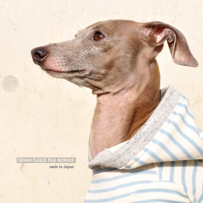犬服|デニム裏毛パイルボーダー|選べる4タイプ×3カラー(アクア/グリーン/ネイビー)