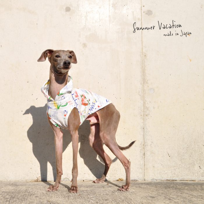 犬服|Summer Vacation|上質な日本製強撚天竺ニットプリント|選べる4タイプ×2カラー(ブルー文字/ブラック文字)