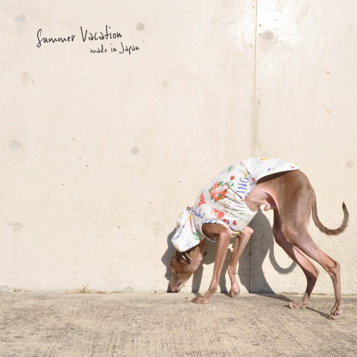 犬服|Summer Vacation|上質な日本製強撚天竺ニットプリント|選べる4タイプ×2カラー(ブルー文字/ブラック文字)