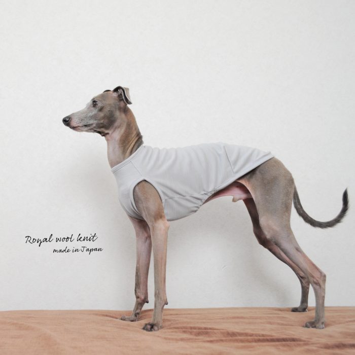シンプルに着るほど美しさが引きたつ犬服|ロイヤルウールニット